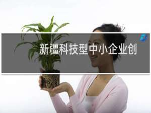 新疆科技型中小企业创新绩效影响因素及对策研究(关于新疆科技型中小企业创新绩效影响因素及对策研究的简介)