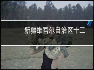 新疆维吾尔自治区十二届人大常委会十九次会议(关于新疆维吾尔自治区十二届人大常委会十九次会议的简介)