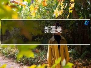 新疆美(关于新疆美的简介)