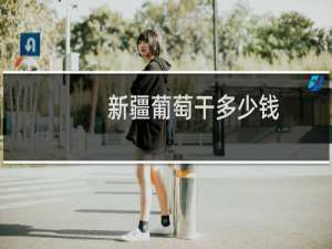 新疆葡萄干多少钱