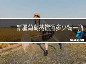 新疆葡萄蒸馏酒多少钱一瓶