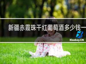 新疆赤霞珠干红葡萄酒多少钱一瓶