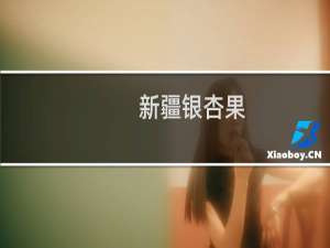 新疆银杏果