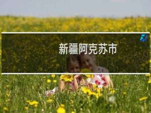 新疆阿克苏市