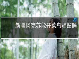 新疆阿克苏能开菜鸟驿站吗