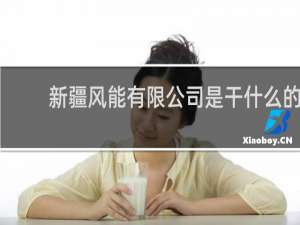 新疆风能有限公司是干什么的