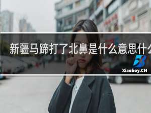 新疆马蹄打了北鼻是什么意思什么梗