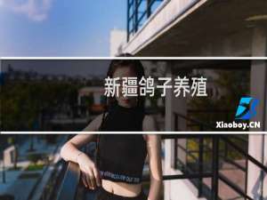 新疆鸽子养殖