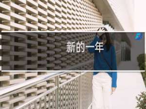 新的一年(关于新的一年的简介)