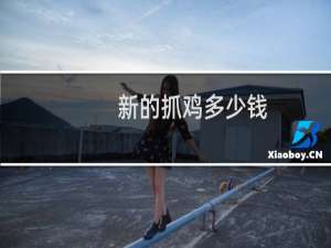 新的抓鸡多少钱