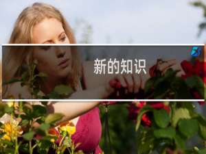 新的知识