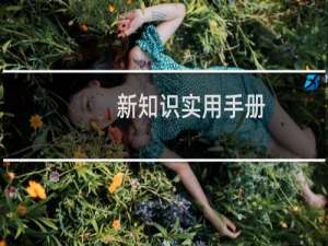 新知识实用手册(关于新知识实用手册的简介)