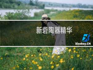 新砦陶器精华(关于新砦陶器精华的简介)