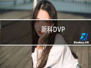 新科DVP-589(关于新科DVP-589的简介)