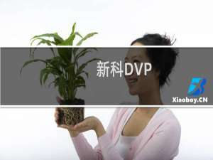 新科DVP-8811(关于新科DVP-8811的简介)