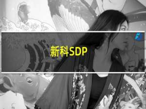 新科SDP-1717(关于新科SDP-1717的简介)