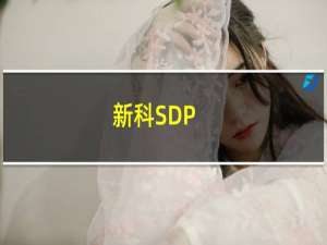 新科SDP-1750(关于新科SDP-1750的简介)