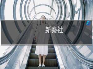 新秦社(关于新秦社的简介)