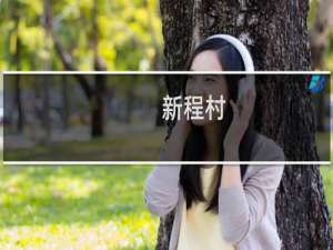 新程村(关于新程村的简介)
