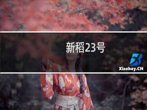 新稻23号(关于新稻23号的简介)