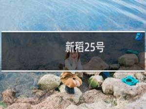 新稻25号(关于新稻25号的简介)