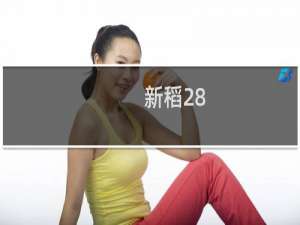 新稻28(关于新稻28的简介)