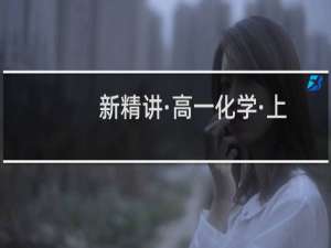 新精讲·高一化学·上(关于新精讲·高一化学·上的简介)