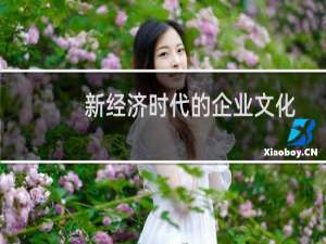 新经济时代的企业文化(关于新经济时代的企业文化的简介)