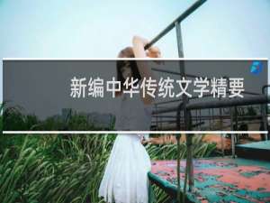 新编中华传统文学精要(关于新编中华传统文学精要的简介)