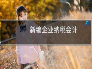 新编企业纳税会计(关于新编企业纳税会计的简介)
