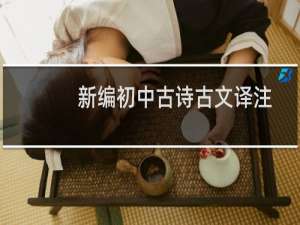 新编初中古诗古文译注评(关于新编初中古诗古文译注评的简介)
