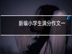 新编小学生满分作文一本通(关于新编小学生满分作文一本通的简介)