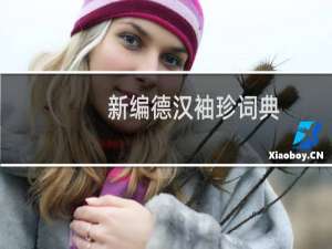 新编德汉袖珍词典(关于新编德汉袖珍词典的简介)