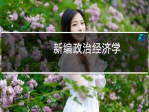 新编政治经济学(关于新编政治经济学的简介)