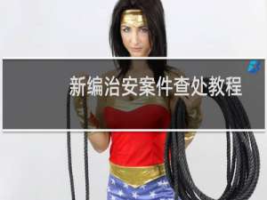 新编治安案件查处教程(关于新编治安案件查处教程的简介)