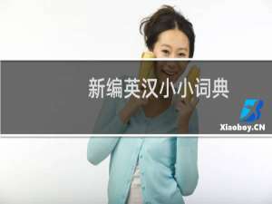 新编英汉小小词典(关于新编英汉小小词典的简介)
