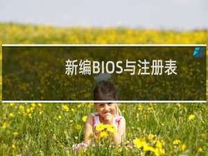 新编BIOS与注册表应用(关于新编BIOS与注册表应用的简介)