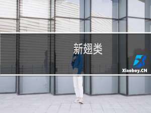 新翅类(关于新翅类的简介)