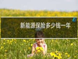 新能源保险多少钱一年
