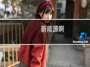 新能源啊