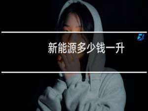 新能源多少钱一升