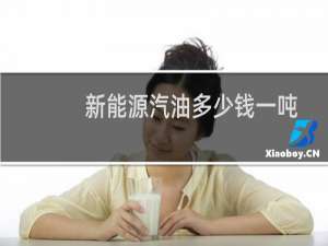 新能源汽油多少钱一吨