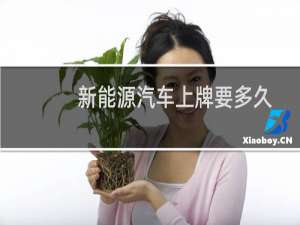 新能源汽车上牌要多久