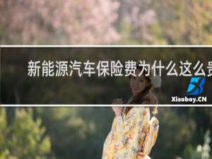 新能源汽车保险费为什么这么贵