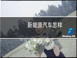 新能源汽车怎样