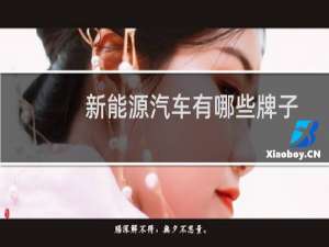 新能源汽车有哪些牌子