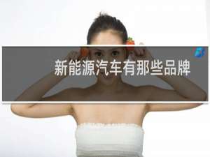 新能源汽车有那些品牌