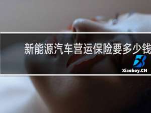 新能源汽车营运保险要多少钱