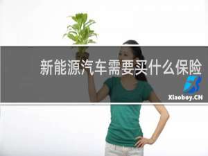 新能源汽车需要买什么保险