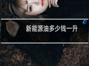 新能源油多少钱一升